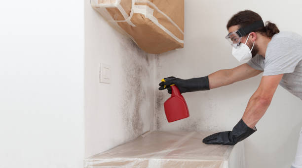 Professional Basement Mold Remediation technician working in Keller, TX